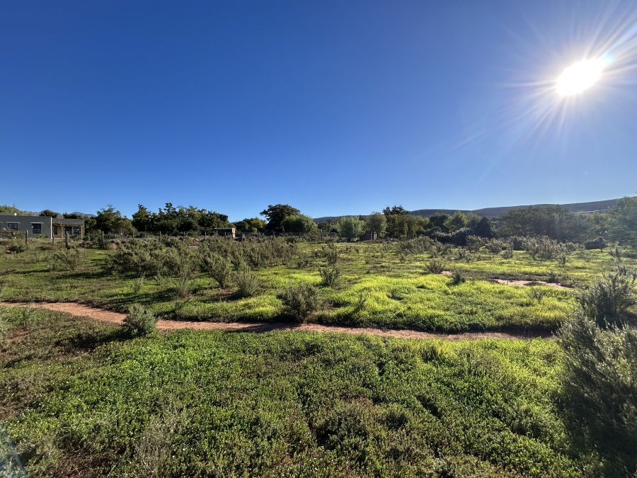 0 Bedroom Property for Sale in Mcgregor Western Cape